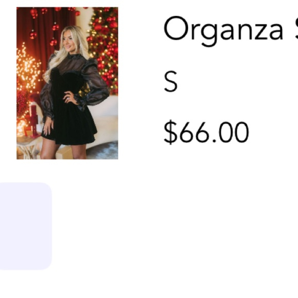 Organza Sleeve Velvet Dress